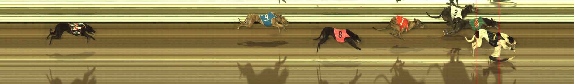 Photo finish for The Meadows Race 9
