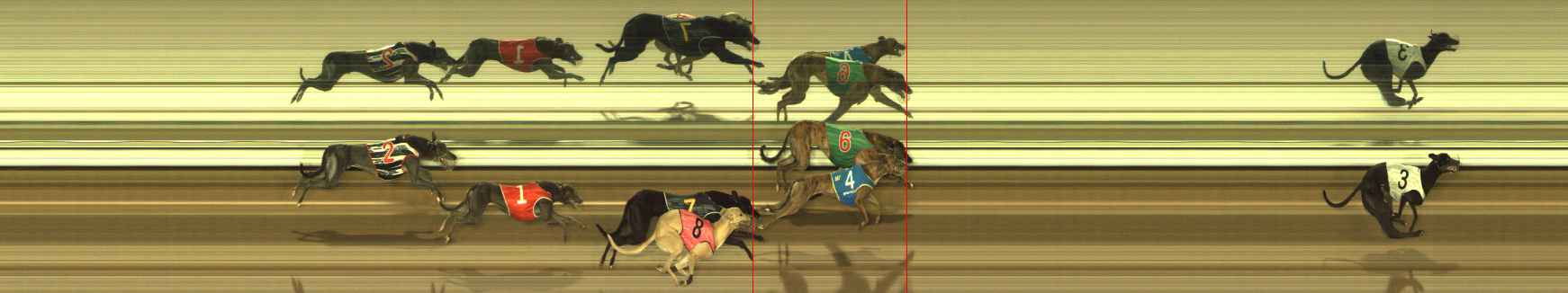 Photo finish for The Meadows Race 10
