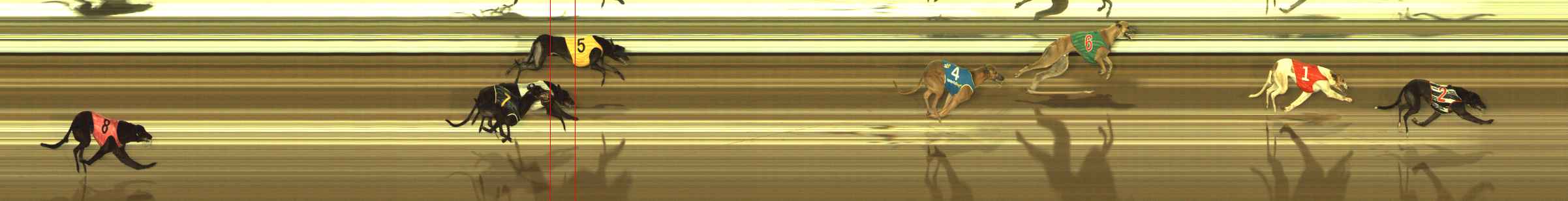Photo finish for The Meadows Race 11
