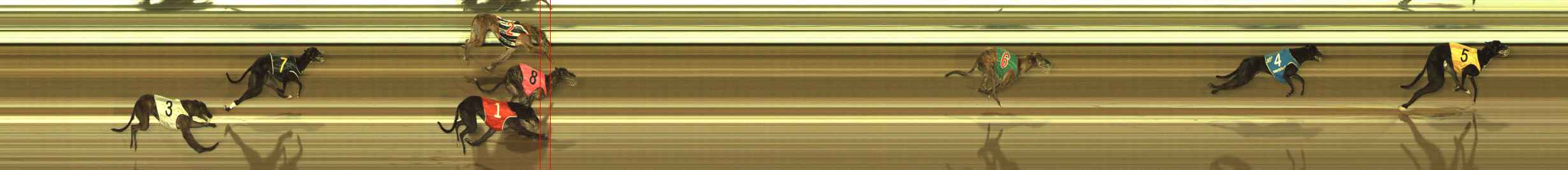Photo finish for The Meadows Race 12