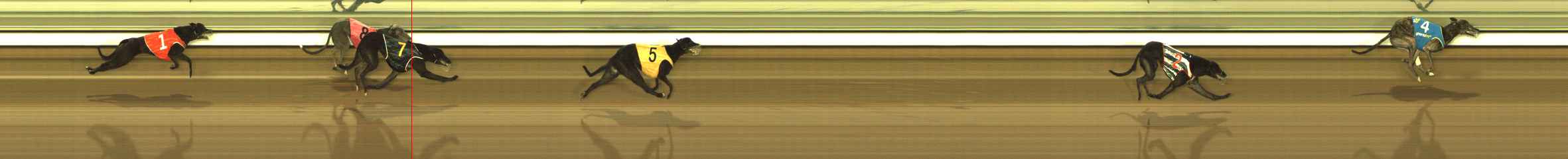 Meadows (MEP) 21/10/2026