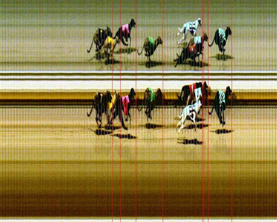 Photo finish for Sale Race 8
