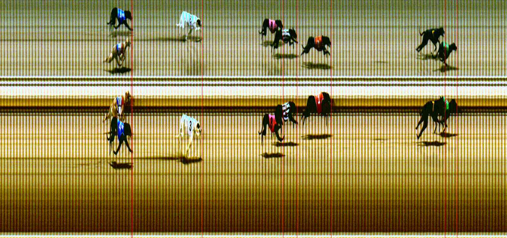 Photo finish for Sale Race 5