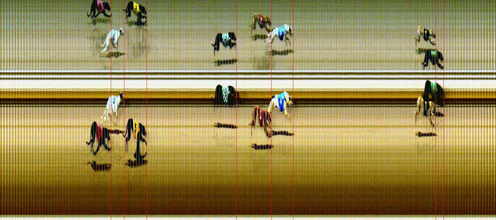 Photo finish for Sale Race 7