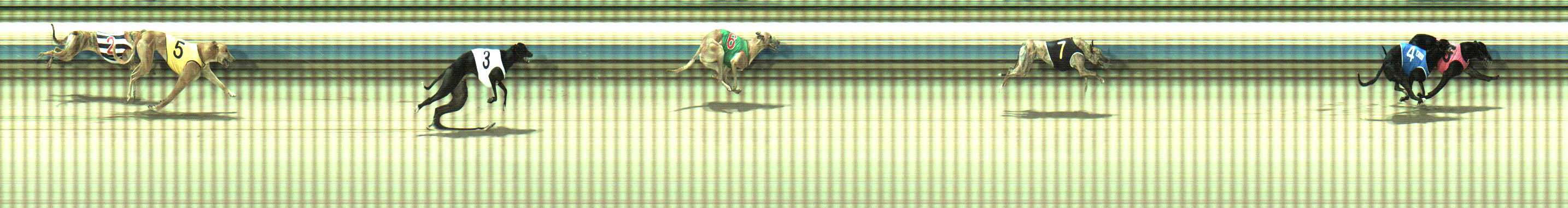 Photo finish for Sale Race 1