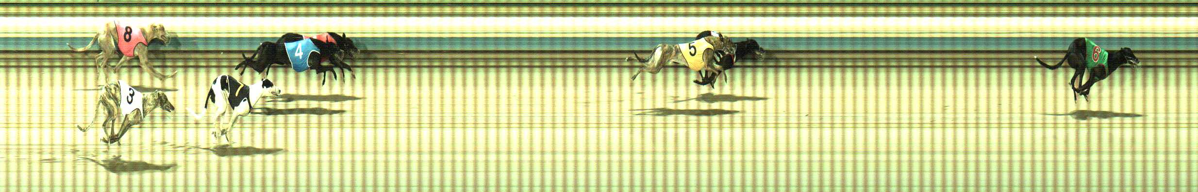 Photo finish for Sale Race 10