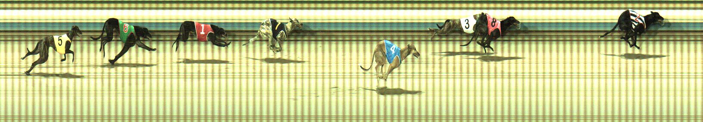 Photo finish for Sale Race 11