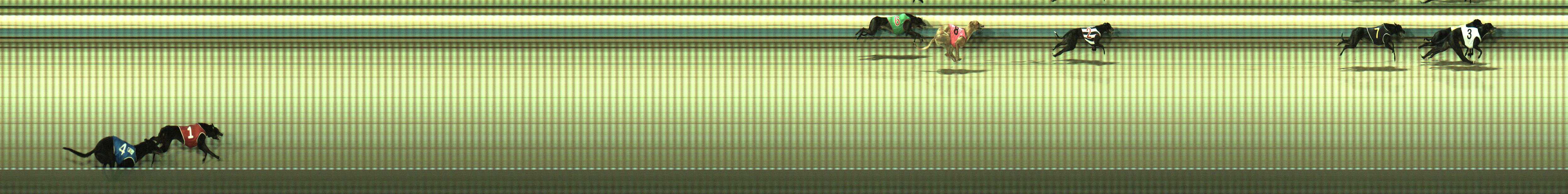 Photo finish for Sale Race 2