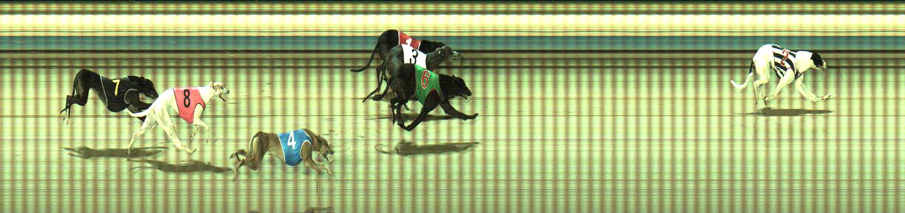 Photo finish for Sale Race 3