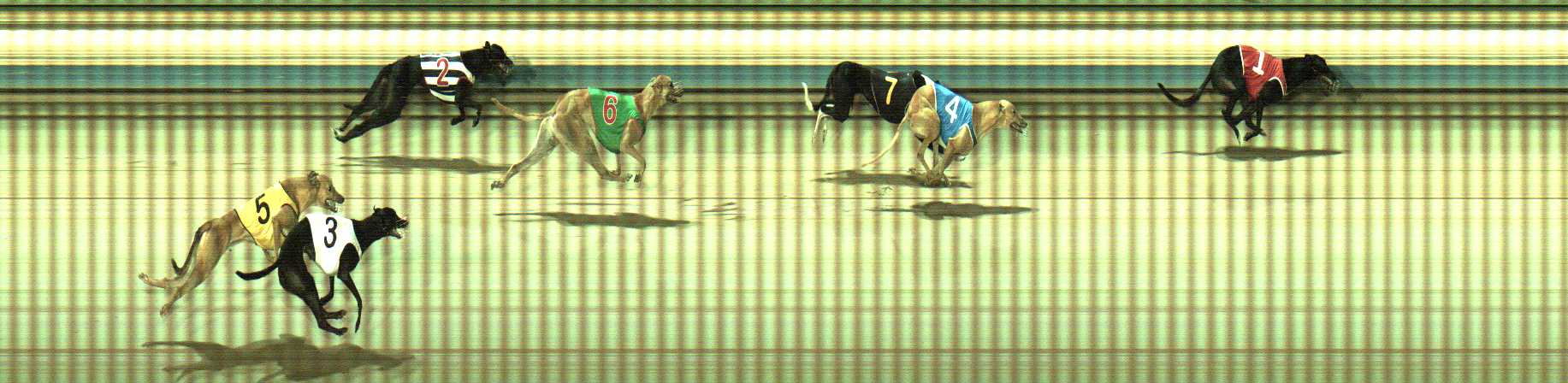 Photo finish for Sale Race 4