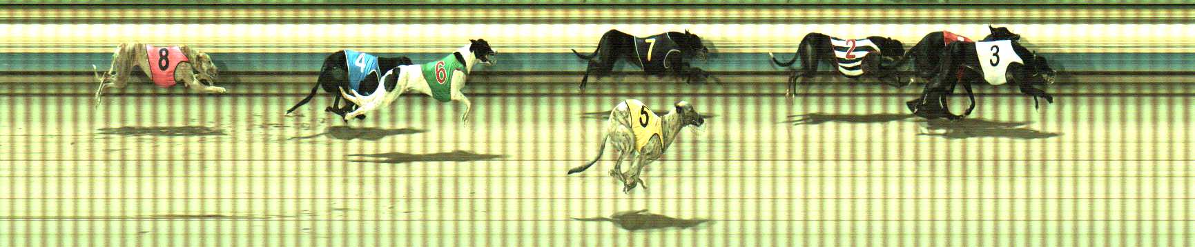 Photo finish for Sale Race 5