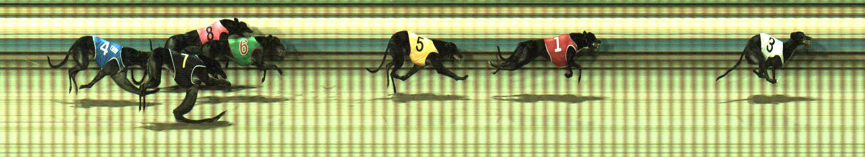 Photo finish for Sale Race 6