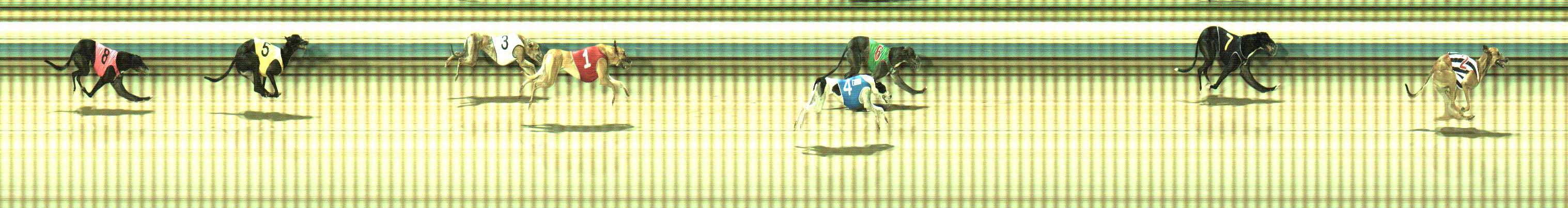 Photo finish for Sale Race 7