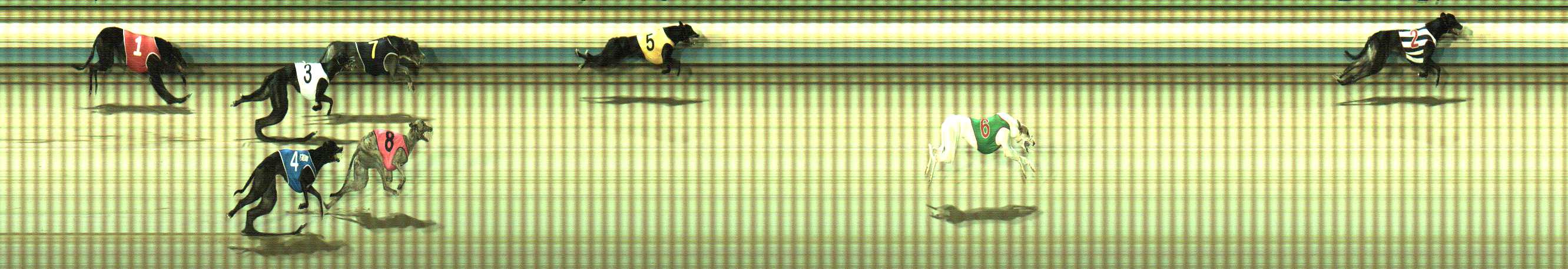 Photo finish for Sale Race 8
