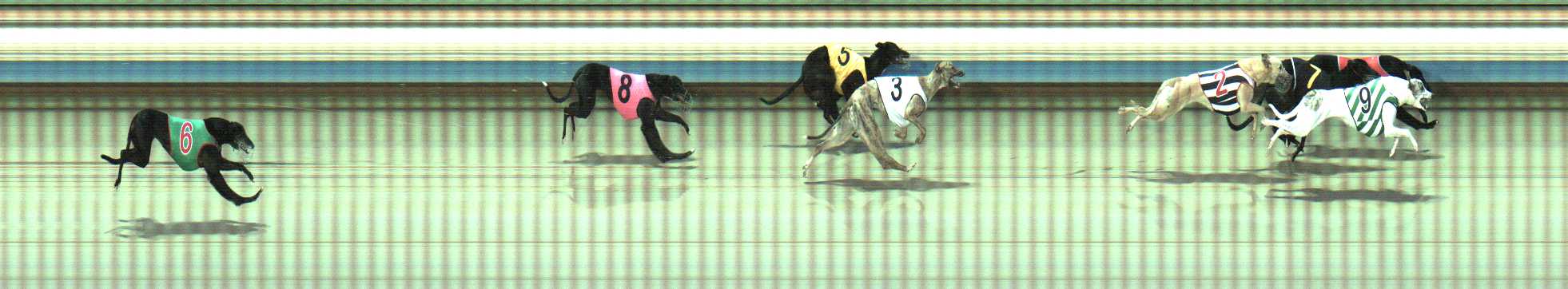 Photo finish for Sale Race 1