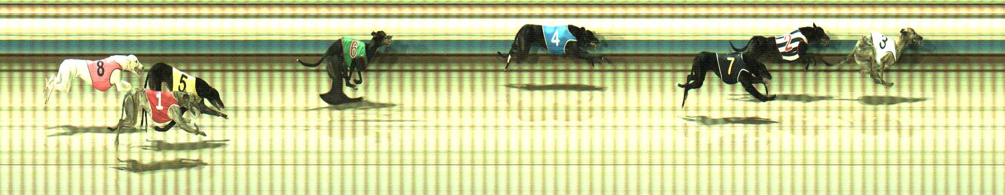 Photo finish for Sale Race 11