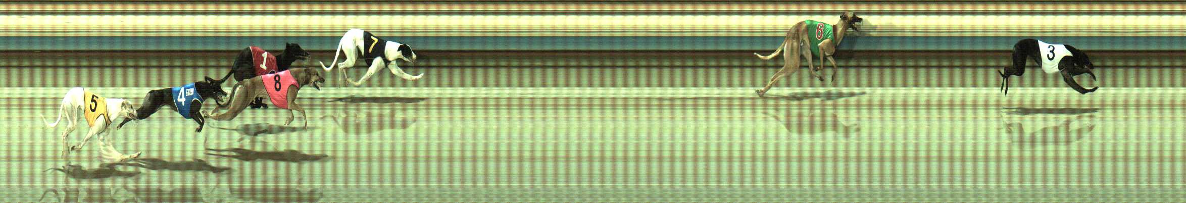 Photo finish for Sale Race 2