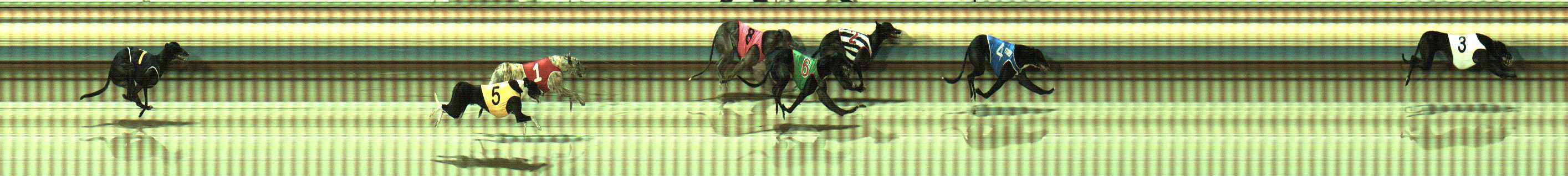 Photo finish for Sale Race 3