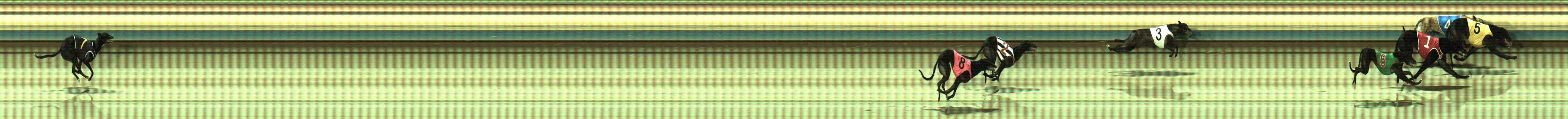 Photo finish for Sale Race 4