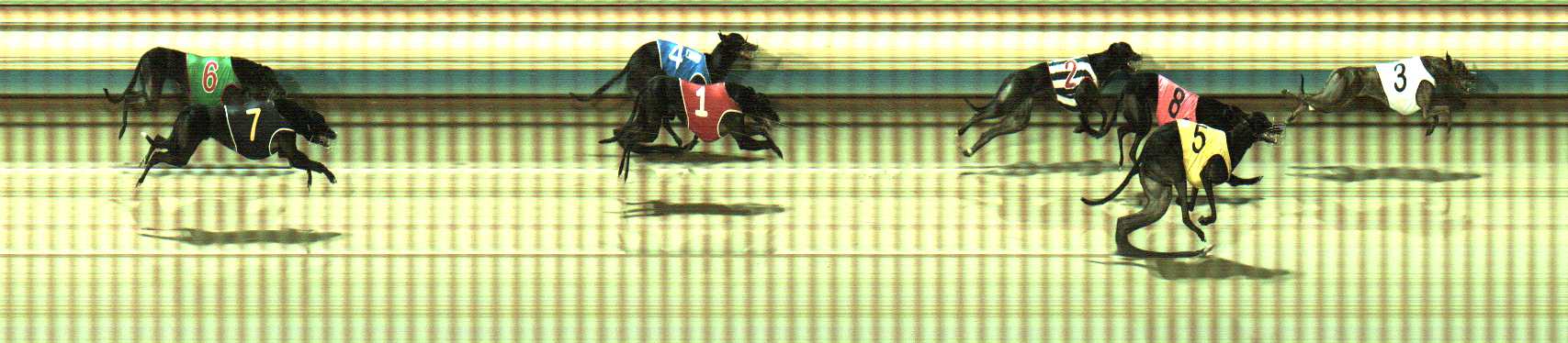 Photo finish for Sale Race 5