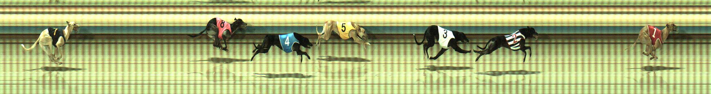Photo finish for Sale Race 6