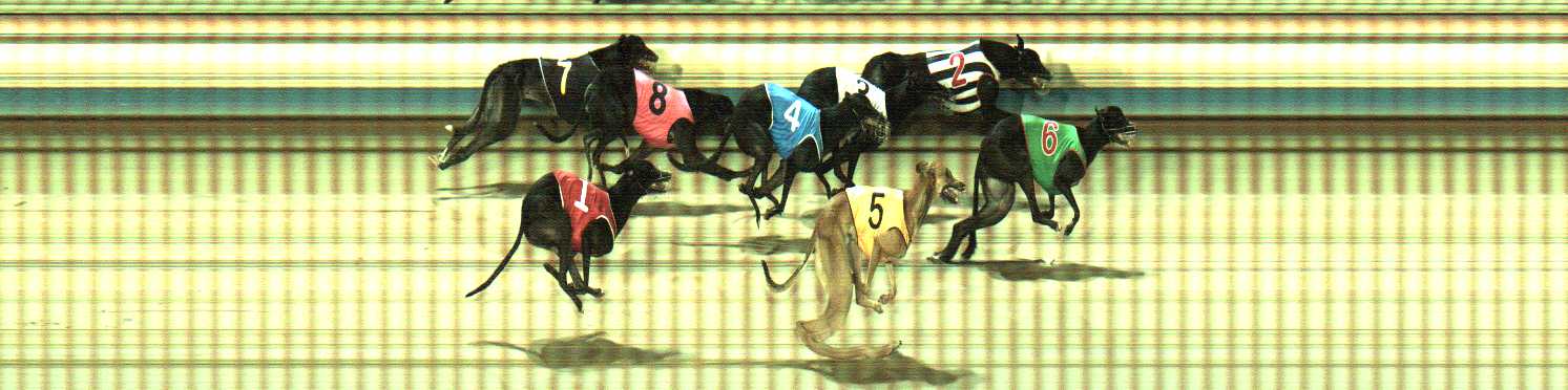 Photo finish for Sale Race 7
