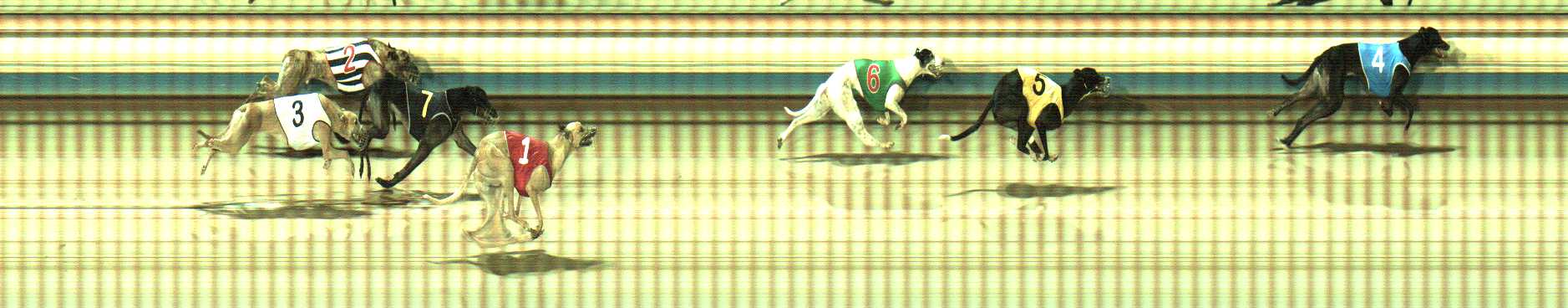 Photo finish for Sale Race 8