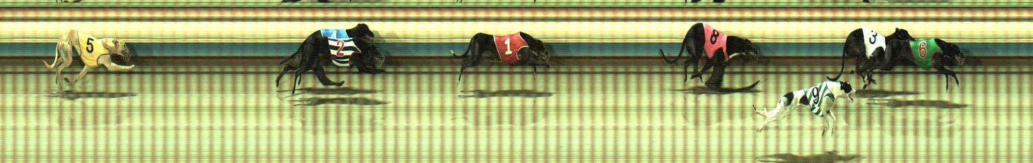 Photo finish for Sale Race 9
