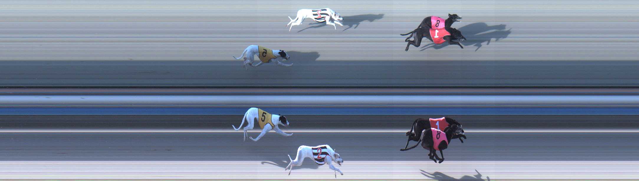 Photo finish for Sale Race 2