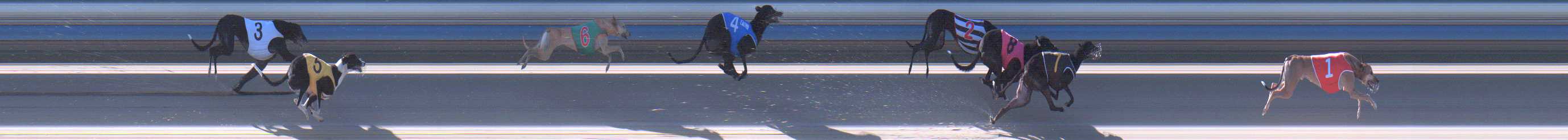 Photo finish for Sale Race 3