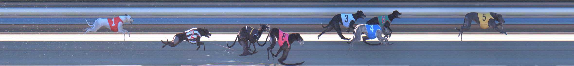 Photo finish for Sale Race 6