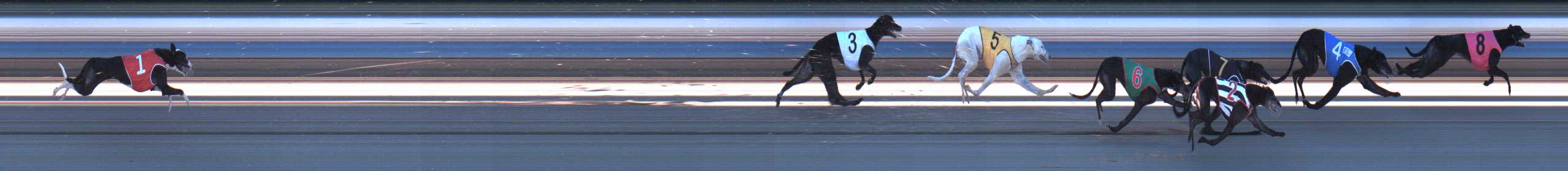Photo finish for Sale Race 7