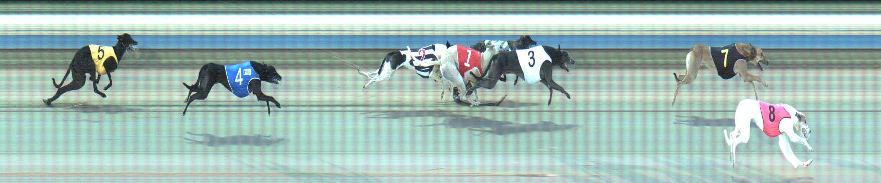 Photo finish for Sale Race 8