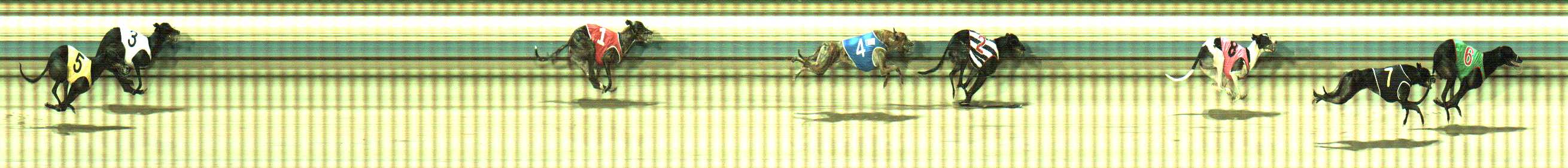 Photo finish for Sale Race 10