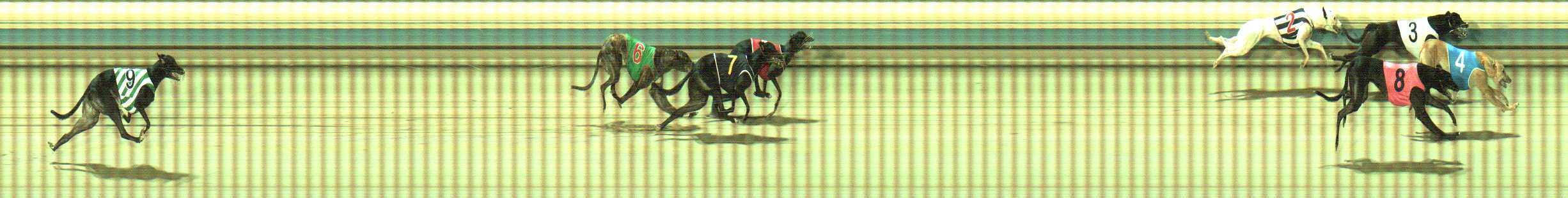 Photo finish for Sale Race 12