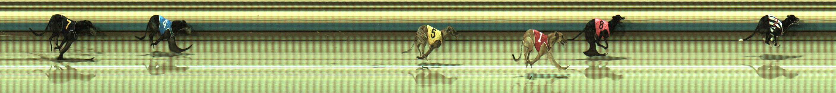 Photo finish for Sale Race 10
