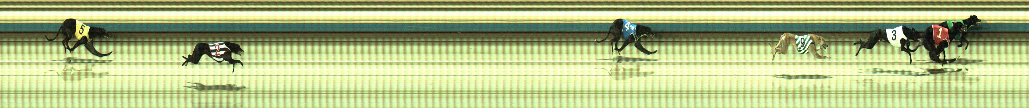 Photo finish for Sale Race 2
