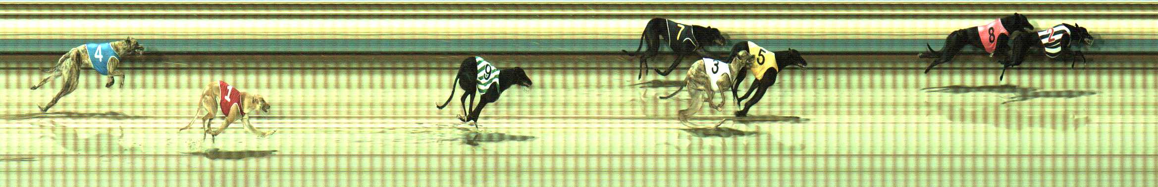 Photo finish for Sale Race 3