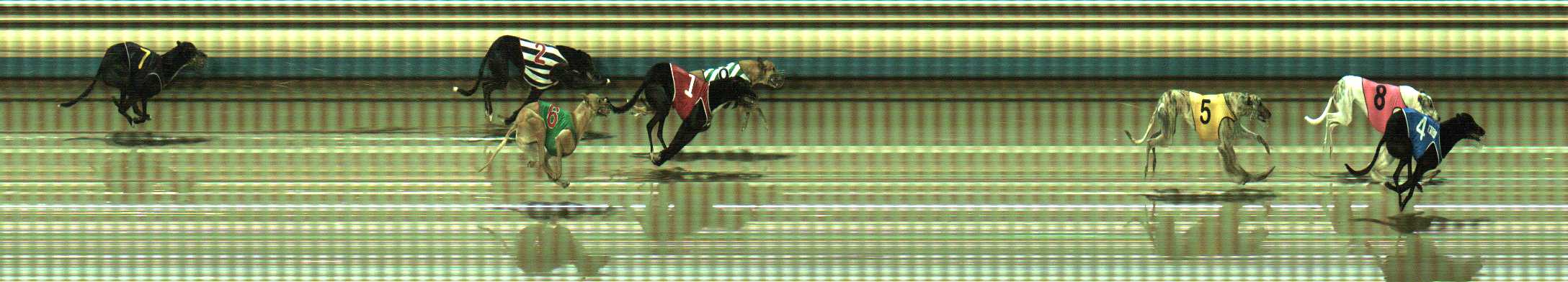Photo finish for Sale Race 4