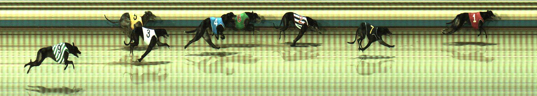 Photo finish for Sale Race 6