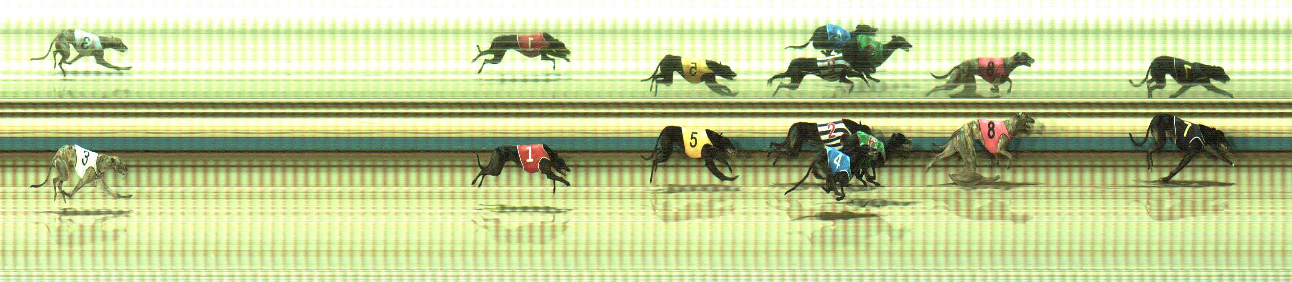 Photo finish for Sale Race 7