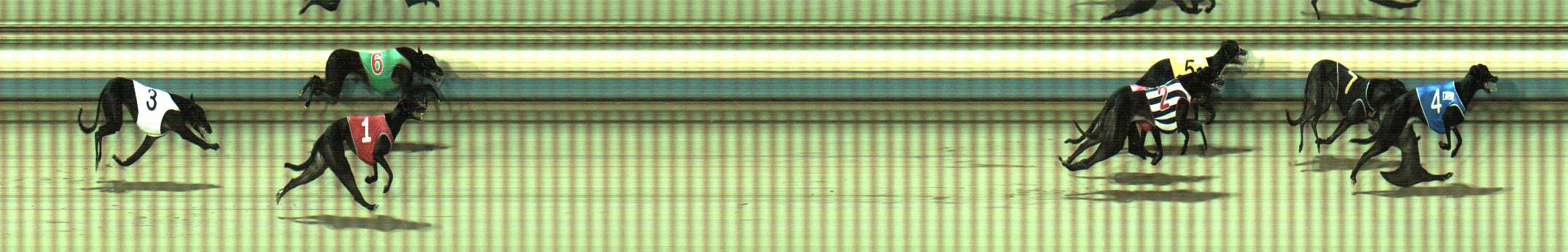 Photo finish for Sale Race 1