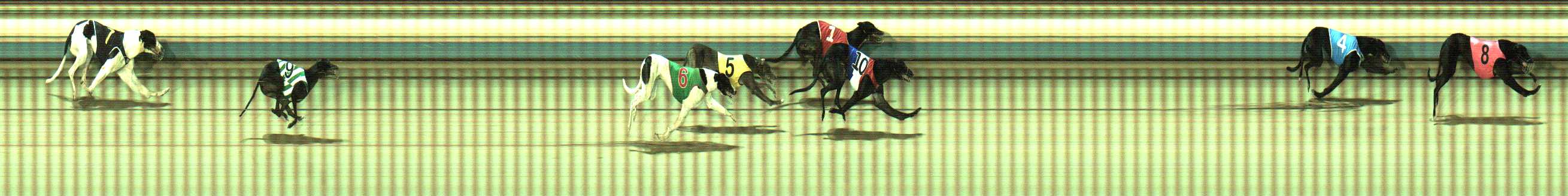 Photo finish for Sale Race 2