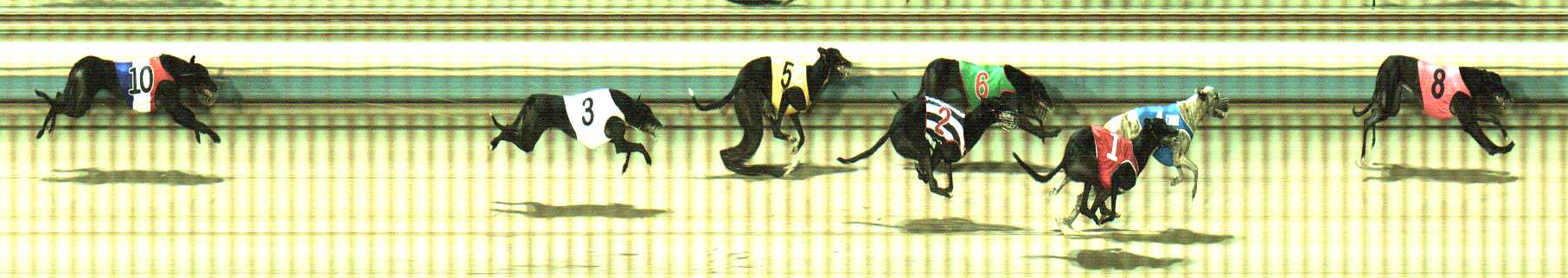 Photo finish for Sale Race 3
