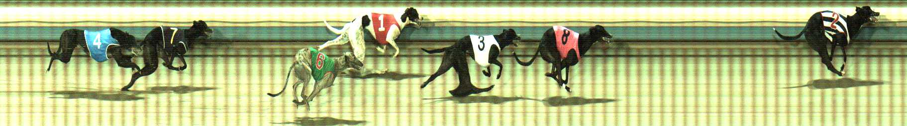 Photo finish for Sale Race 4