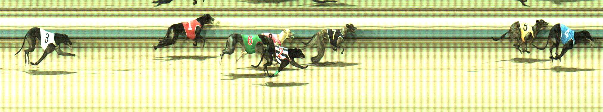 Photo finish for Sale Race 5