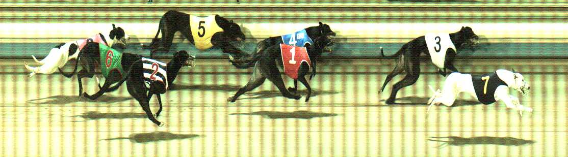Photo finish for Sale Race 6