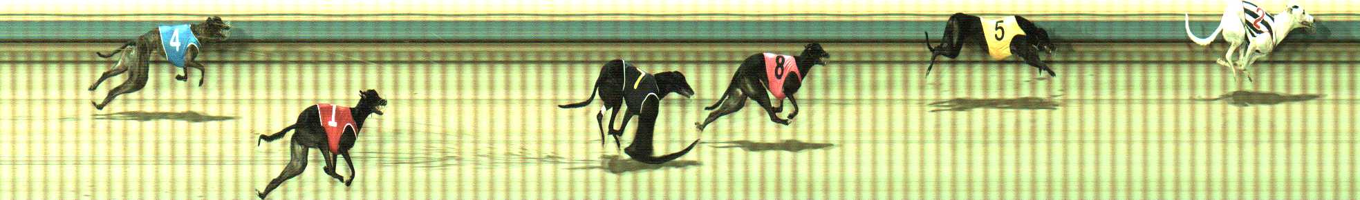 Photo finish for Sale Race 7
