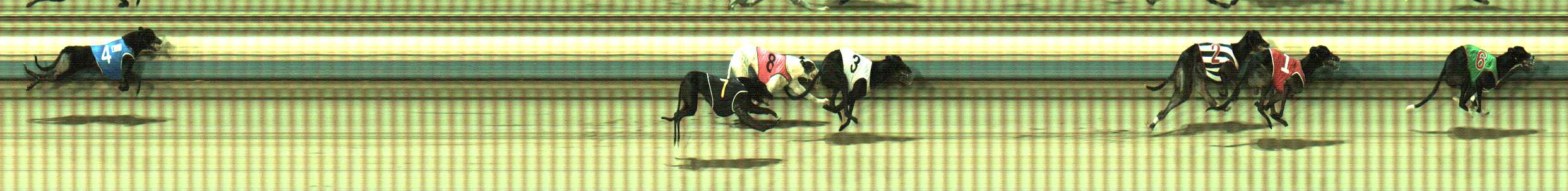 Photo finish for Sale Race 8