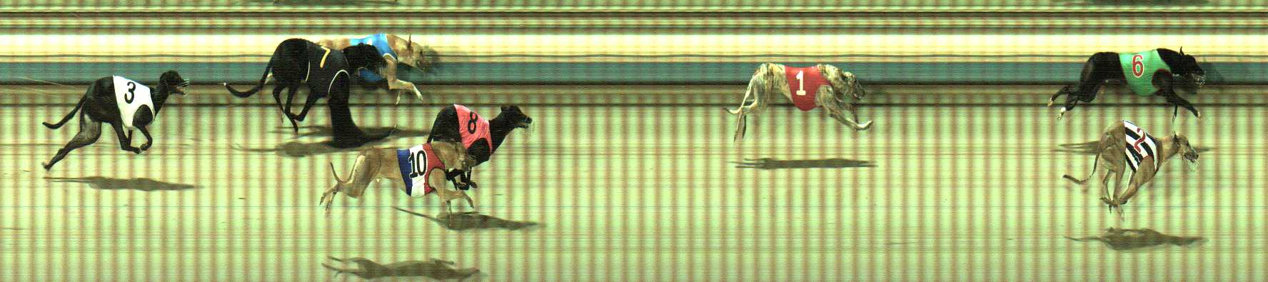 Photo finish for Sale Race 10